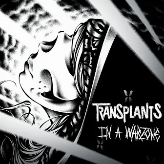 In A Warzone by Transplants