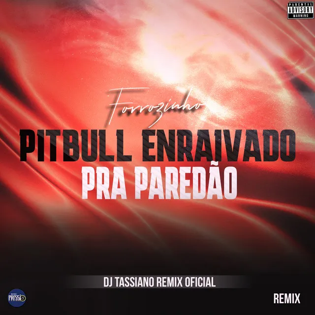 Forrozinho Pitbull Enraivado pra Paredão (Remix)