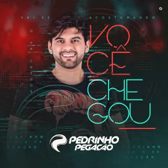 Você Chegou by Pedrinho Pegação