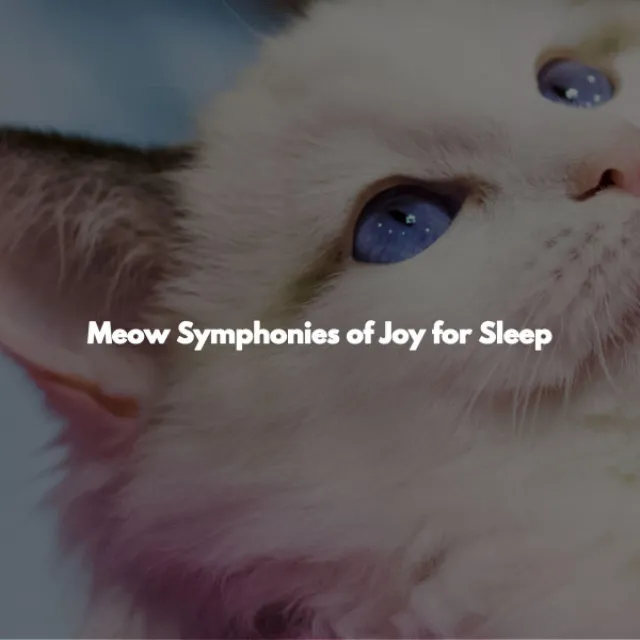 Meow Symphonies of Joy for Sleep