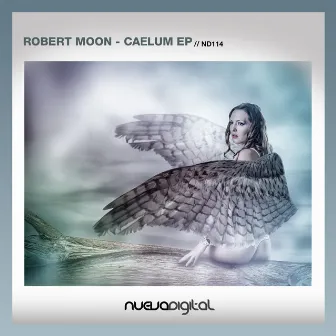 Caelum by Robert Moon