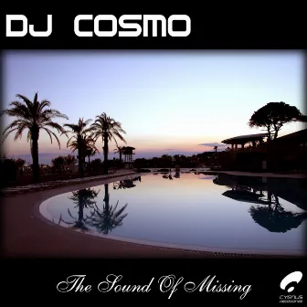 The Sound Of Missing by DJ Cosmo