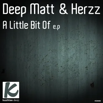 A Little Bit Of E.P by HERZZ