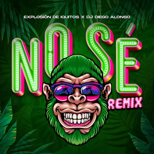 No Sé Remix