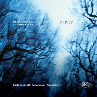 Elegy by New Zealand Chamber Soloists