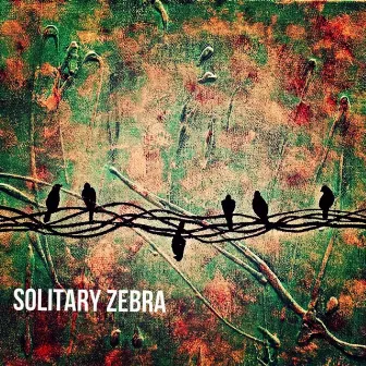 Not The Same by Solitary Zebra