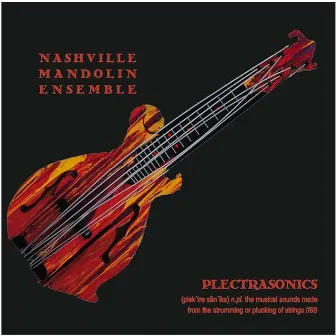 Plectrasonics by Nashville Mandolin Ensemble