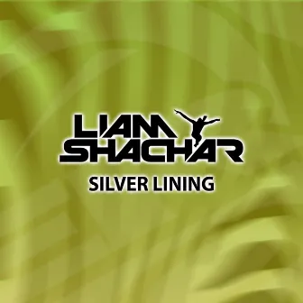 Silver Lining by Liam Shachar