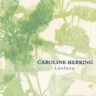 Lantana by Caroline Herring