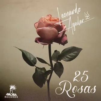 25 Rosas by Leonardo Aguilar