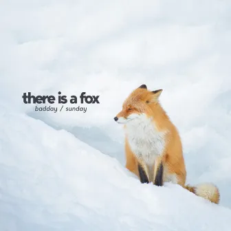 Badday / Sunday by There is a fox