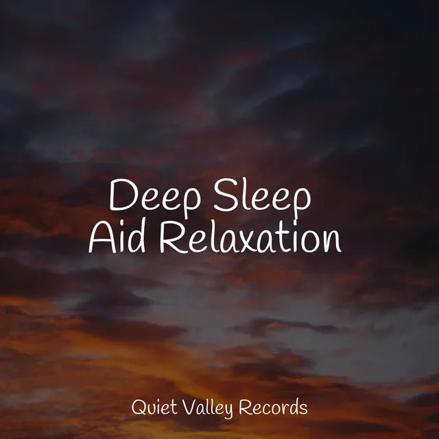 Music for Deep Sleep