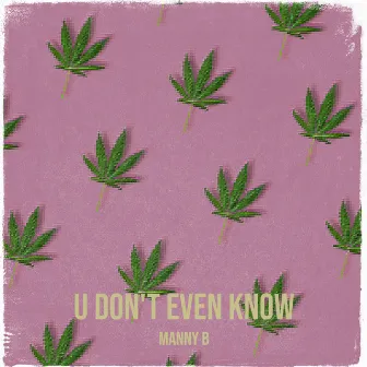 U Don't Even Know by Manny B