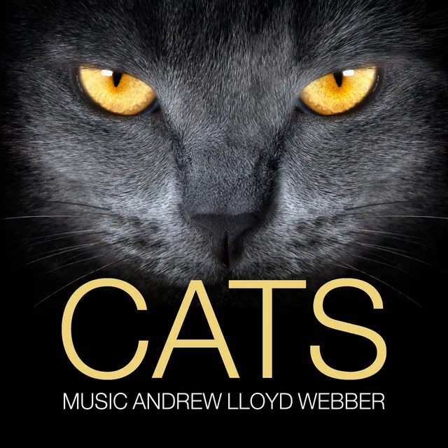 Cats (Music by Andrew Lloyd Webber)