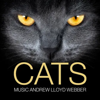 Cats (Music by Andrew Lloyd Webber) by Fiona Hendley