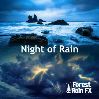 Night of Rain by Forest Rain FX