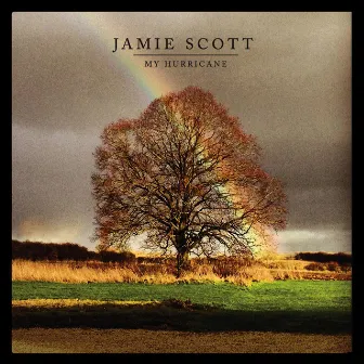 My Hurricane by Jamie Scott