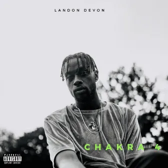 Chakra 4 by Landon DeVon