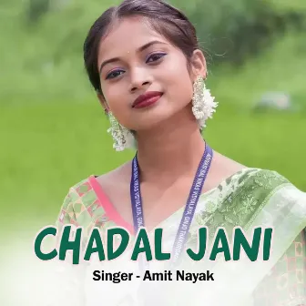 Chadal Jani by Amit Nayak