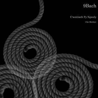 C'weiriwch fy Ngwely by 9bach