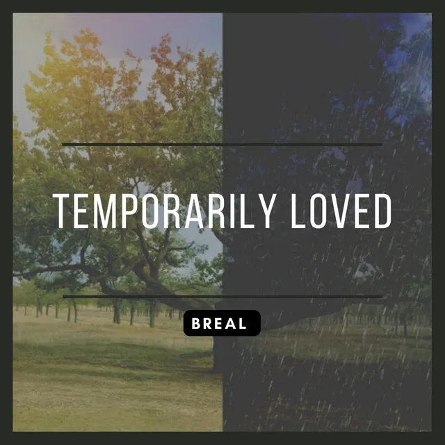 Temporarily Loved