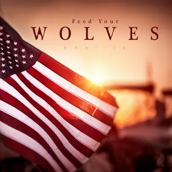 America by Feed Your Wolves