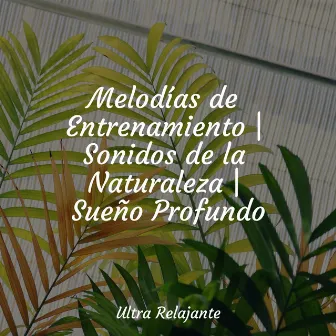 50 Sonidos Ambientales Para El Sueño Profundo y la Relajación by Musicas Crianças