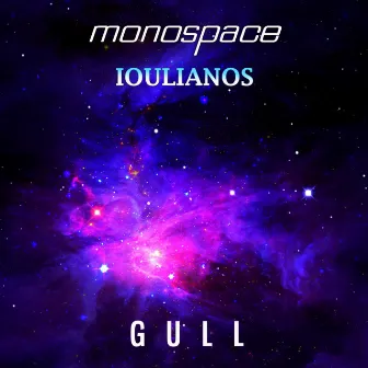 Gull by Monospace