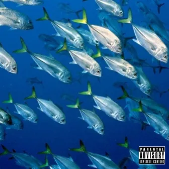 Peixes by Amargo Cdb