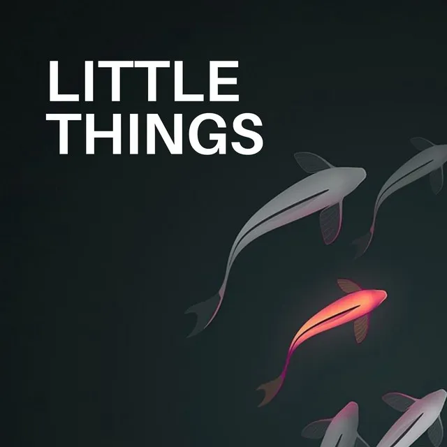 Little Things