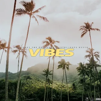 Vibes by Rock Drey