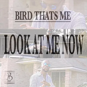 Look at Me Now by Bird Thats Me