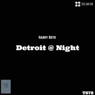 Detroit @ Night by Harry Soto