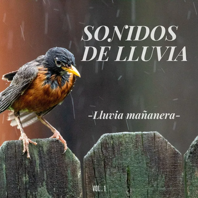 Sonidos de lluvia: Lluvia mañanera Vol.1