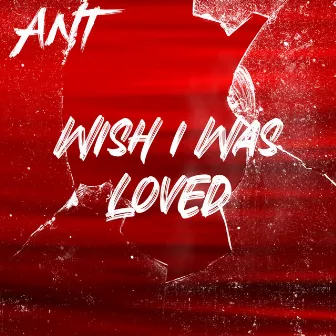 Wish I Was Loved by Antt