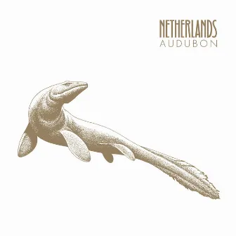 Audubon by Netherlands