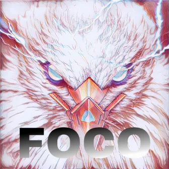 FOCO by Zannk