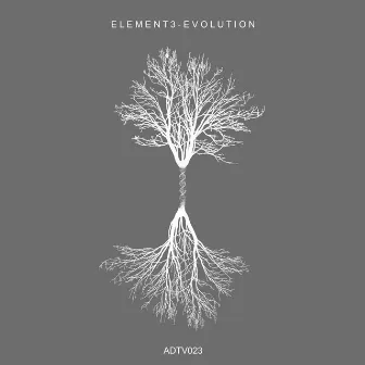 Evolution by ELEMENT3