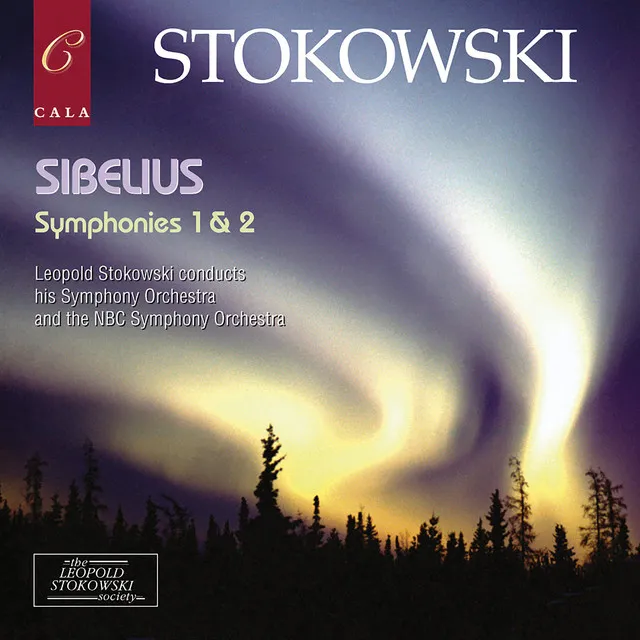 Symphony No. 1 in E Minor, Op. 39: IV. Finale, Andante