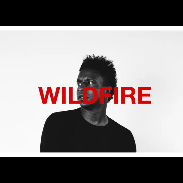 Wildfire