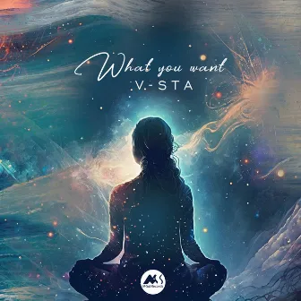 What You Want by V-Sta