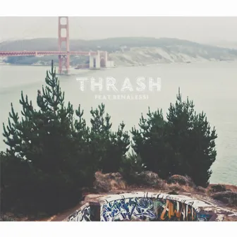 Thrash (feat. Ben Alessi) by Preme