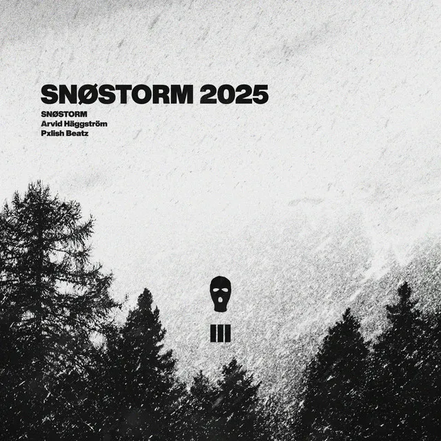 SNØSTORM 2025