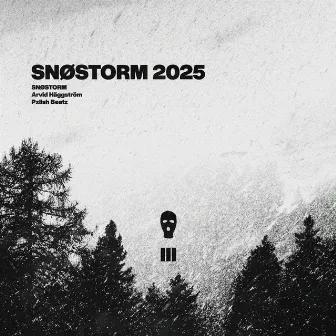 SNØSTORM 2025 by Snøstorm