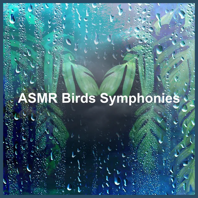 ASMR Birds Symphonies