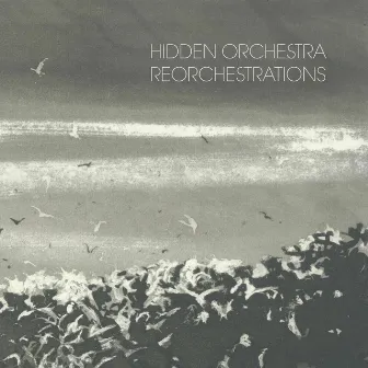 Reorchestrations by Hidden Orchestra