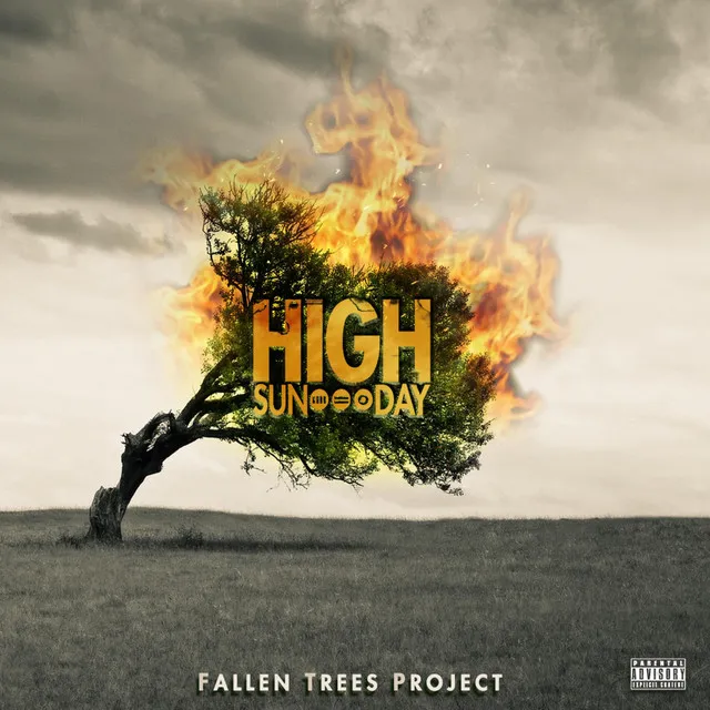 Fallen Trees Project