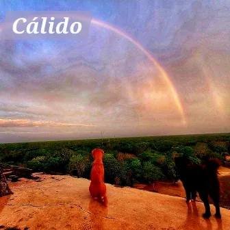 Cálido by Brujo