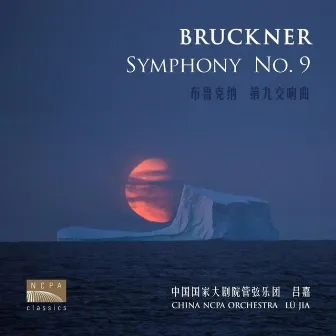 布鲁克纳：第九交响曲（Bruckner: Symphony No. 9 in D Minor, WAB109） by Unknown Artist