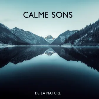 Calme sons de la nature: Musique relaxante pour corps et esprit by Zone de Méditation Spirituelle